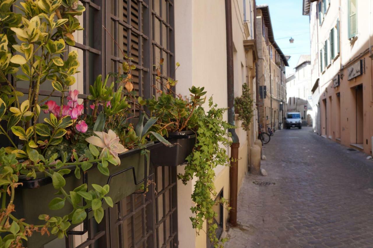 Il Vicolo 48 Bed and Breakfast Pesaro Eksteriør billede